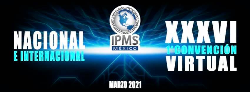 IPMS Mexico online competiton awards